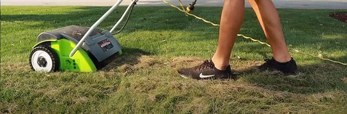 Dethatching recommendations for Georgia Lawns